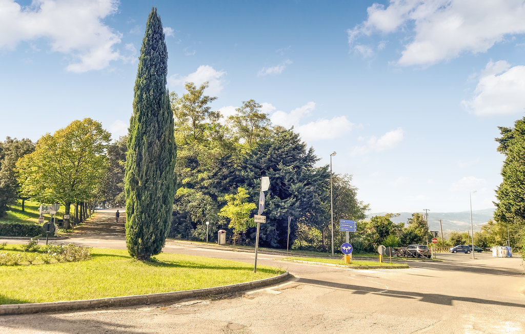 Lejlighed - Castellina Marittima , Italien - ITP638 6