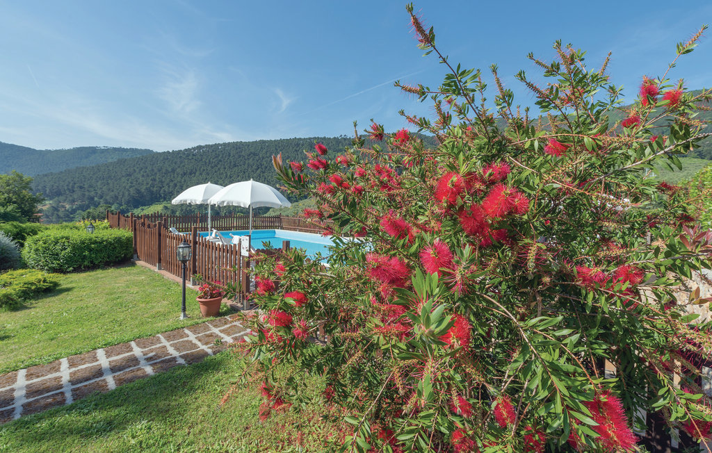 Lejlighed - Buti , Italien - ITP274 8