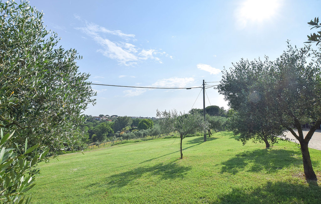 Ferienhaus - Santa Maria a Monte , Italien - ITP655 36