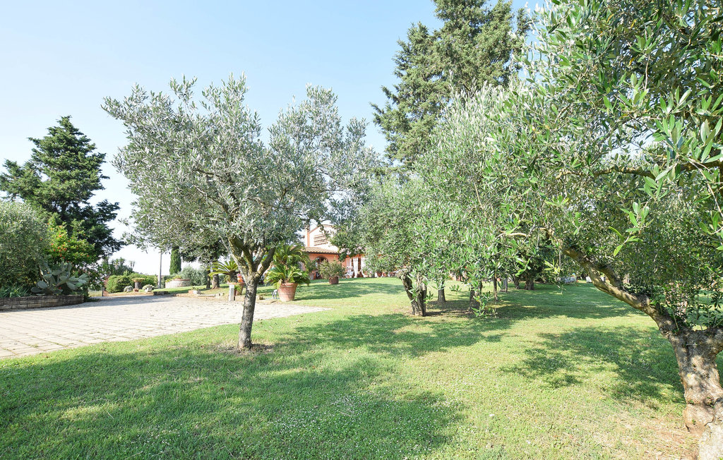 Ferienhaus - Santa Maria a Monte , Italien - ITP655 37