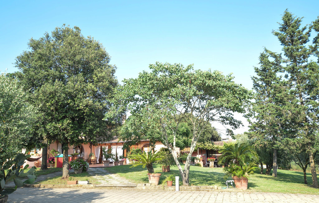 Ferienhaus - Santa Maria a Monte , Italien - ITP655 25