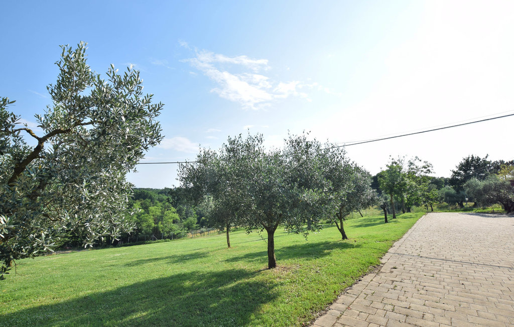 Ferienhaus - Santa Maria a Monte , Italien - ITP655 24