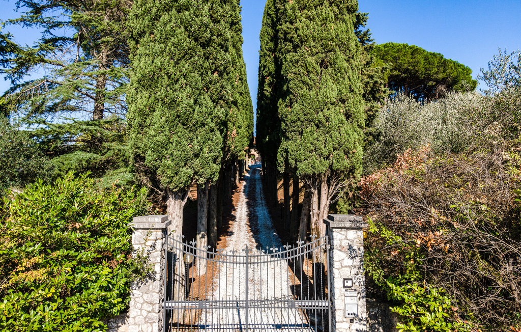 Ferienhaus - Palaia , Italien - ITP535 44