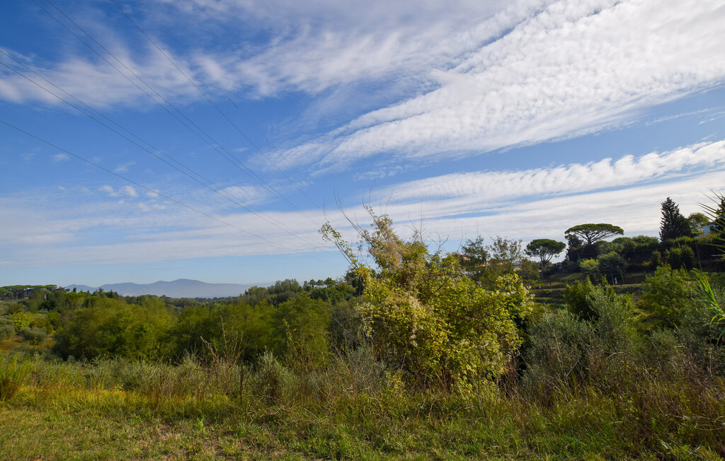 Location de vacances - Fauglia , Italie - ITP011 18