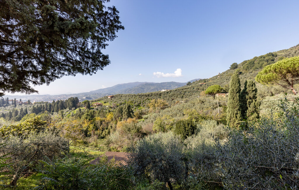 Feriehuse - Uzzano , Italien - ITP226 19