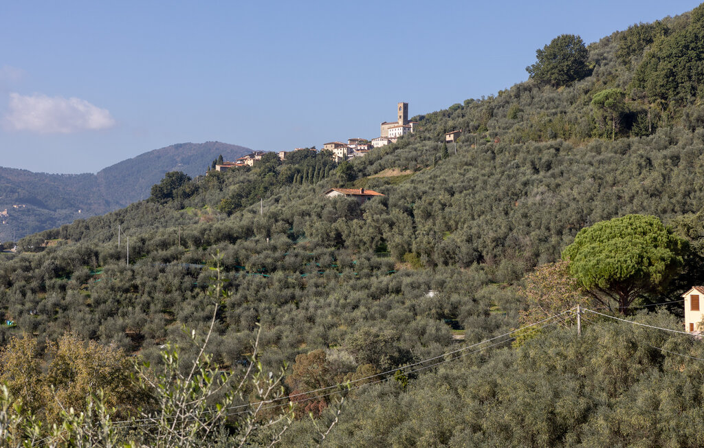 Feriehuse - Uzzano , Italien - ITP226 20