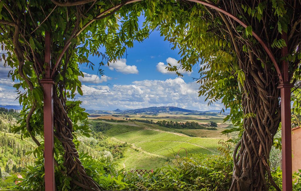 Ferienhaus - Peccioli , Italien - ITP014 7