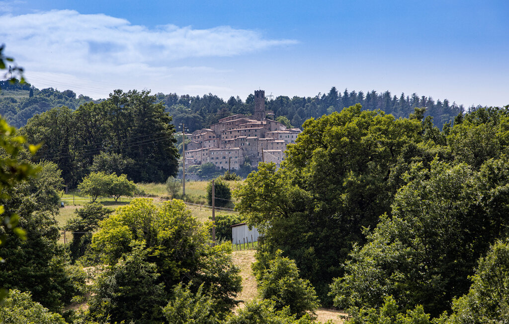 Location de vacances - Castelnuovo Val di Cecina , Italie - ITP008 20