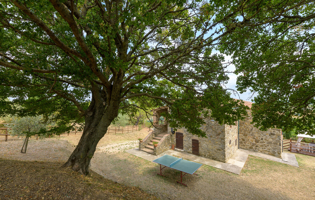 Domy wakacyjne - Castelnuovo Val di Cecina , Włochy - ITP019 8