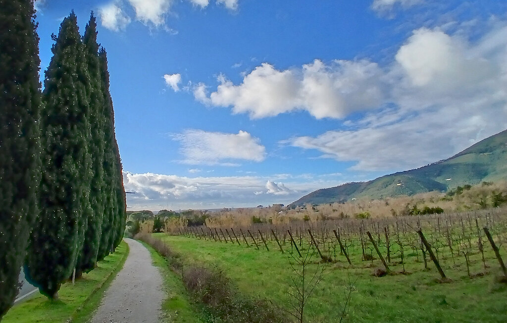 Ferienwohnung - Calci , Italien - ITP029 24