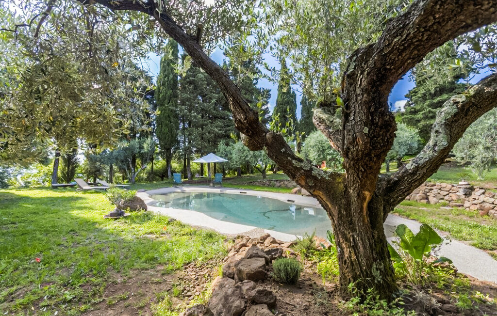 Feriehuse - Montecatini Val di Cecina , Italien - ITP048 11