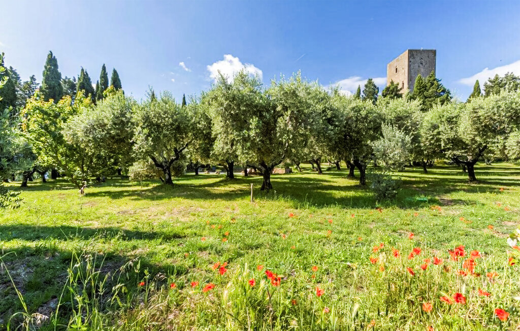Feriehuse - Montecatini Val di Cecina , Italien - ITP048 15