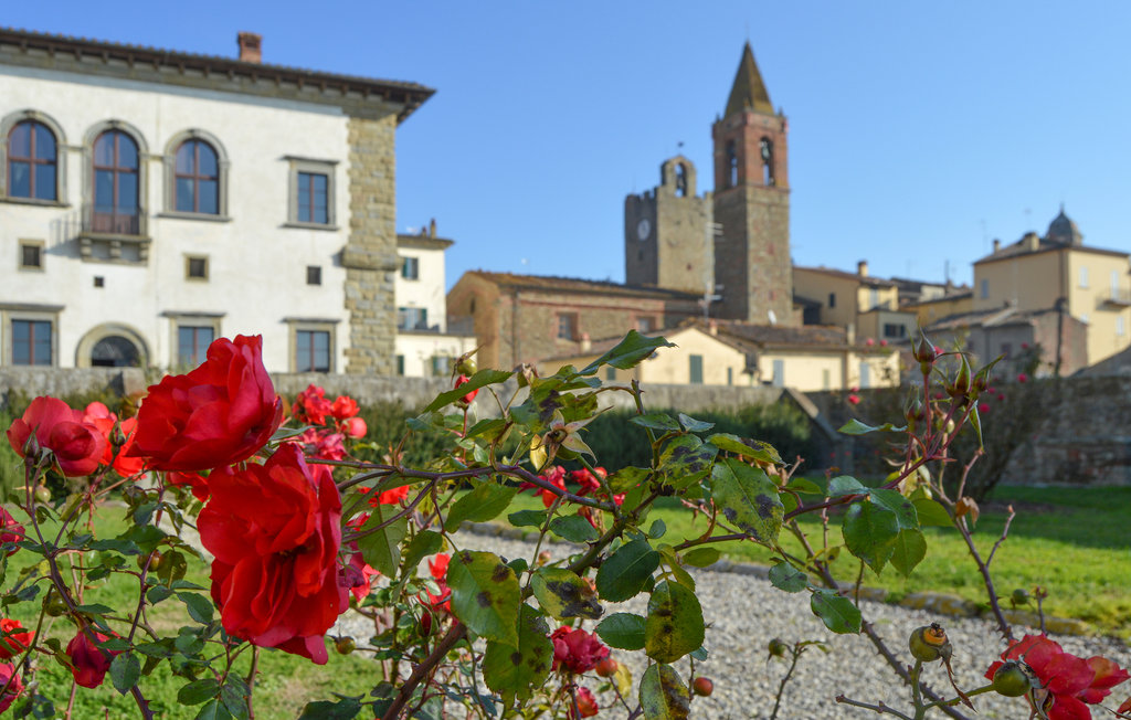 Ferienhaus - Monte San Savino , Italien - ITR004 9