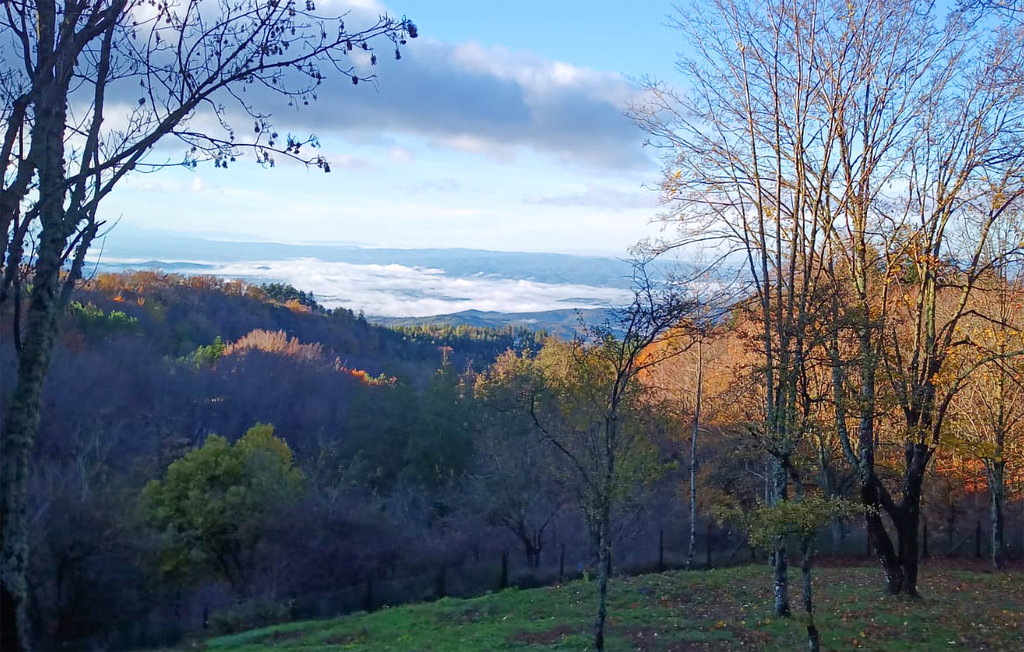 Lejlighed - Subbiano , Italien - ITR017 11