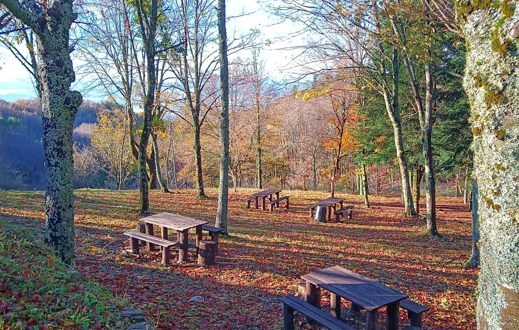 Lejlighed - Subbiano , Italien - ITR017 8