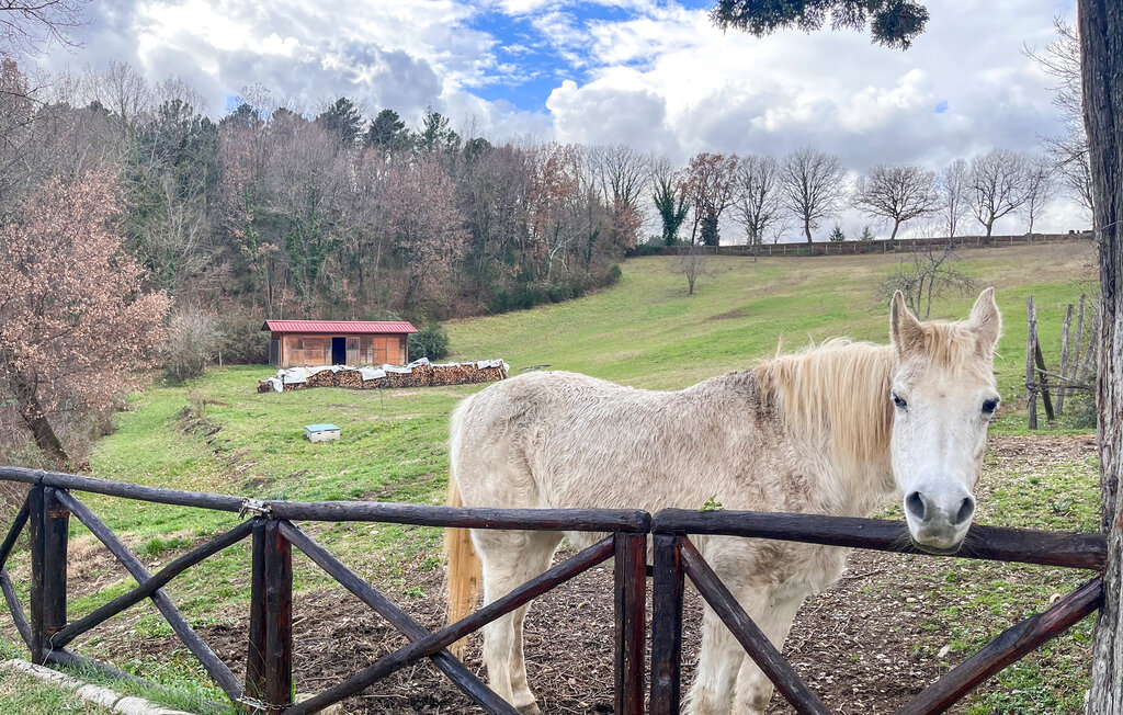 Semesterhus - Bibbiena , Italien - ITR014 8