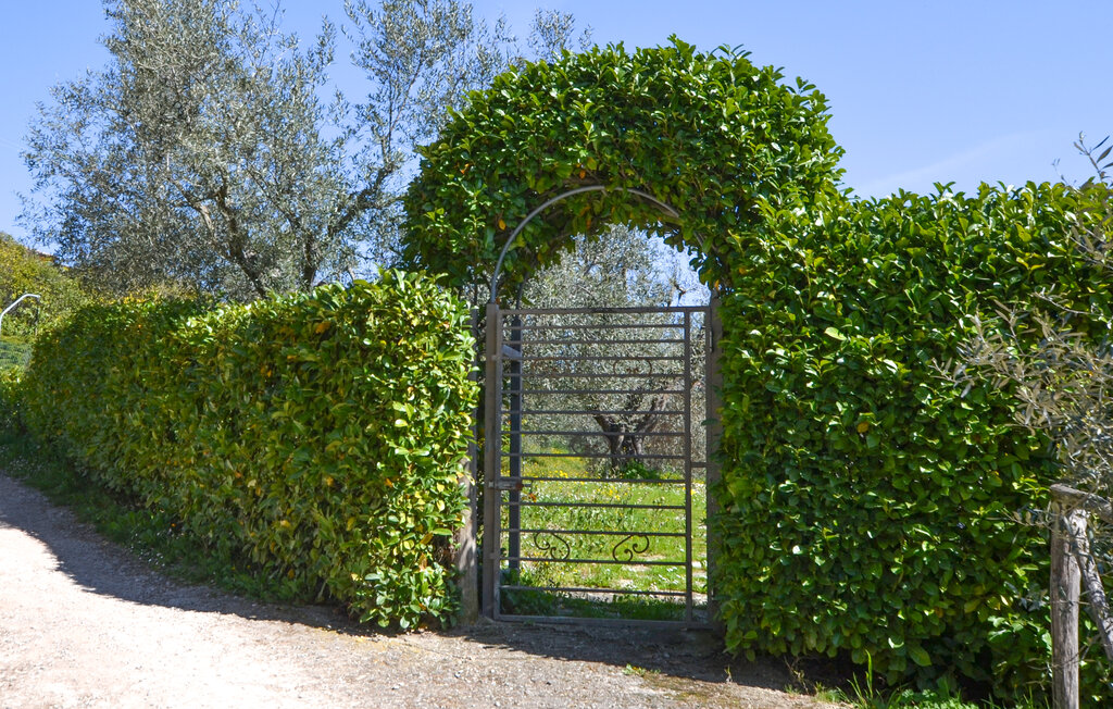 Ferienwohnung - Monterchi , Italien - ITR080 8