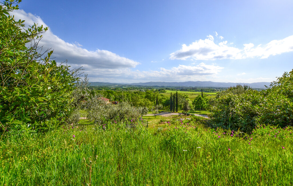 Location de vacances - Terranuova Bracciolini , Italie - ITR098 34