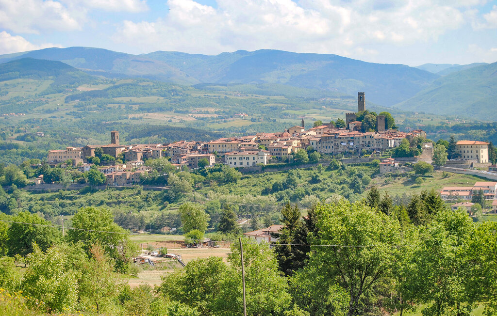 Ferienhaus - Poppi , Italien - ITR110 30