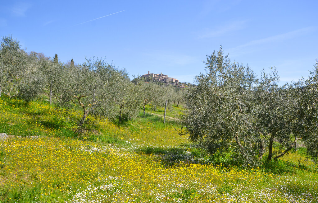 Ferienhaus - Monterchi , Italien - ITR078 21