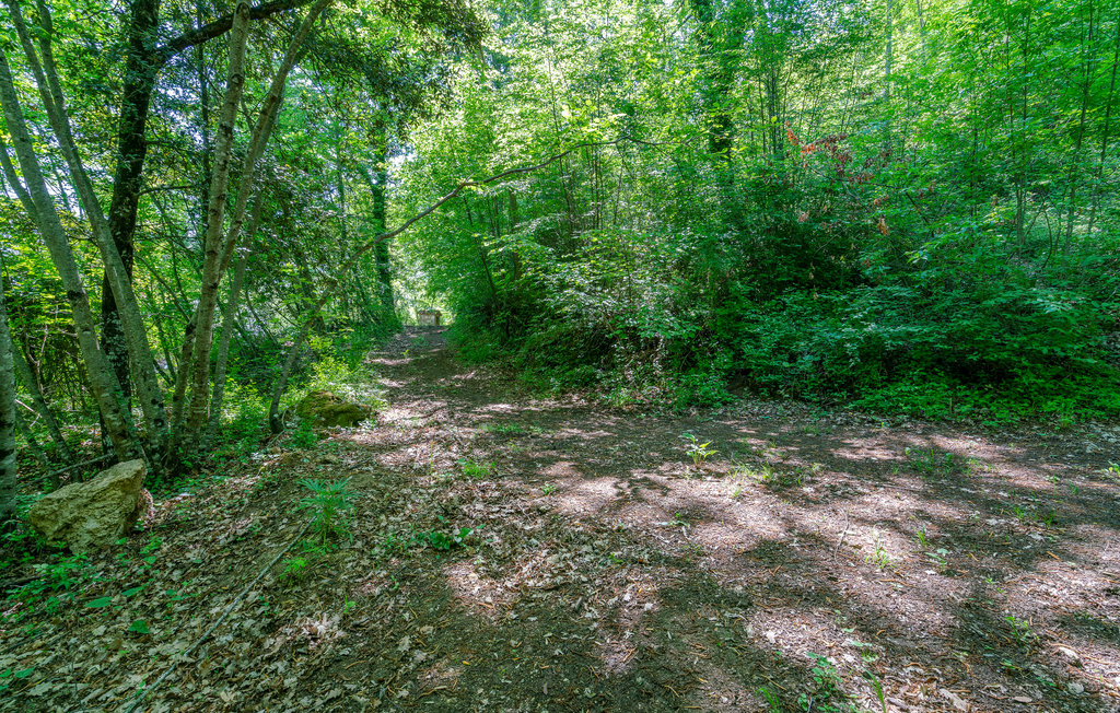 Ferienhaus - Sarteano , Italien - ITS073 50