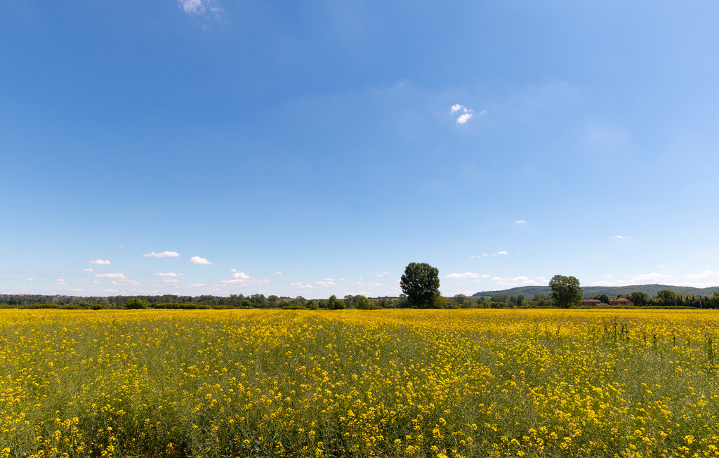 Feriehuse - Siena , Italien - ITS002 15