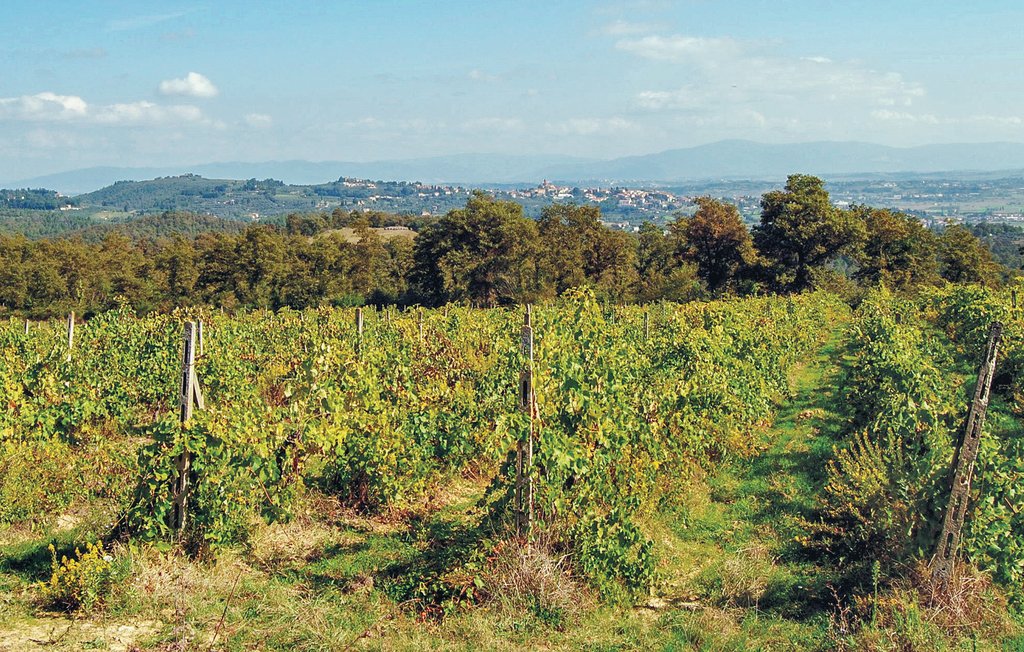 Semesterhus - Trequanda , Italien - ITS108 23