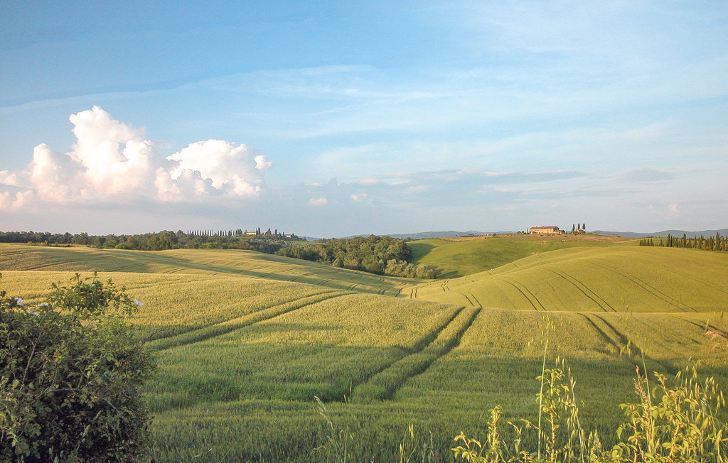 Ferienhaus - Sarteano , Italien - ITS073 52