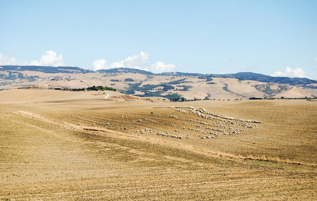 Ferienwohnung - S. Quirico d'Orcia , Italien - ITS604 20