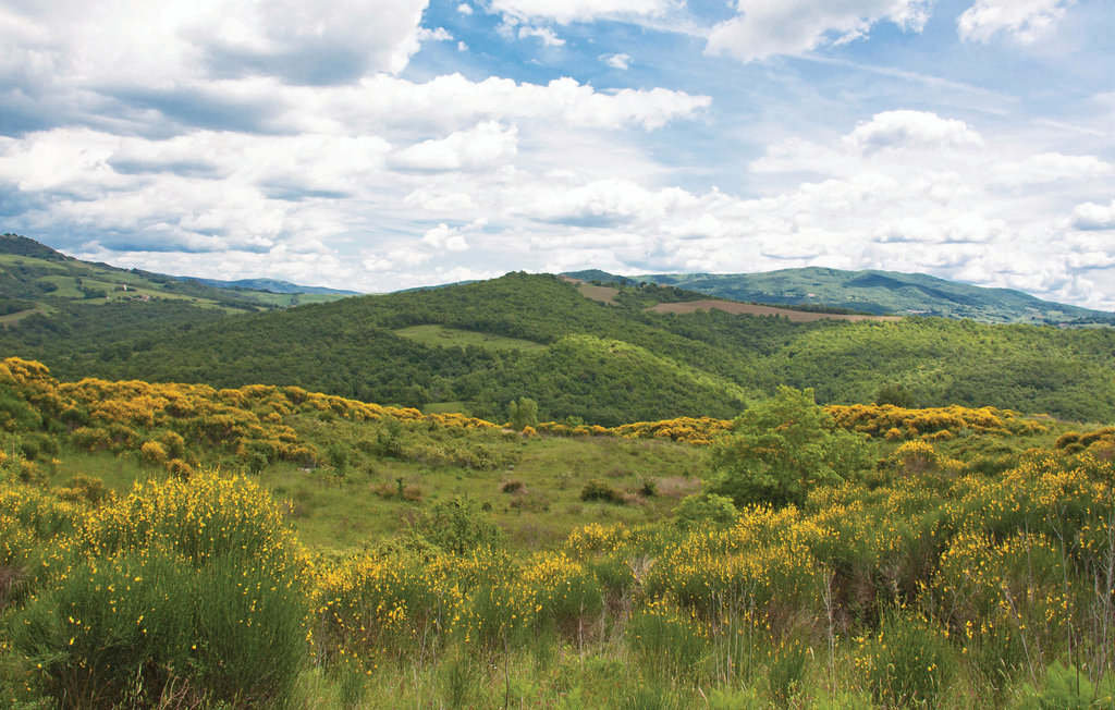 Semesterlägenhet - Casole d'Elsa , Italien - ITS163 30