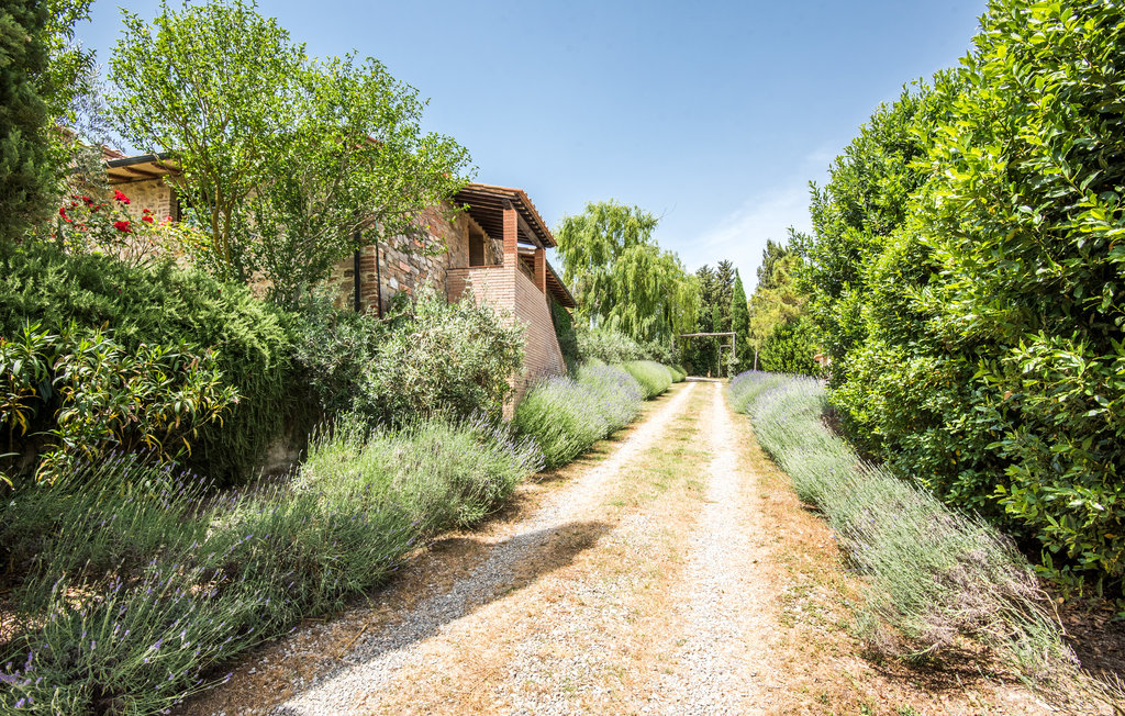 Ferieleilighet - Casole d'Elsa , Italia - ITS162 13