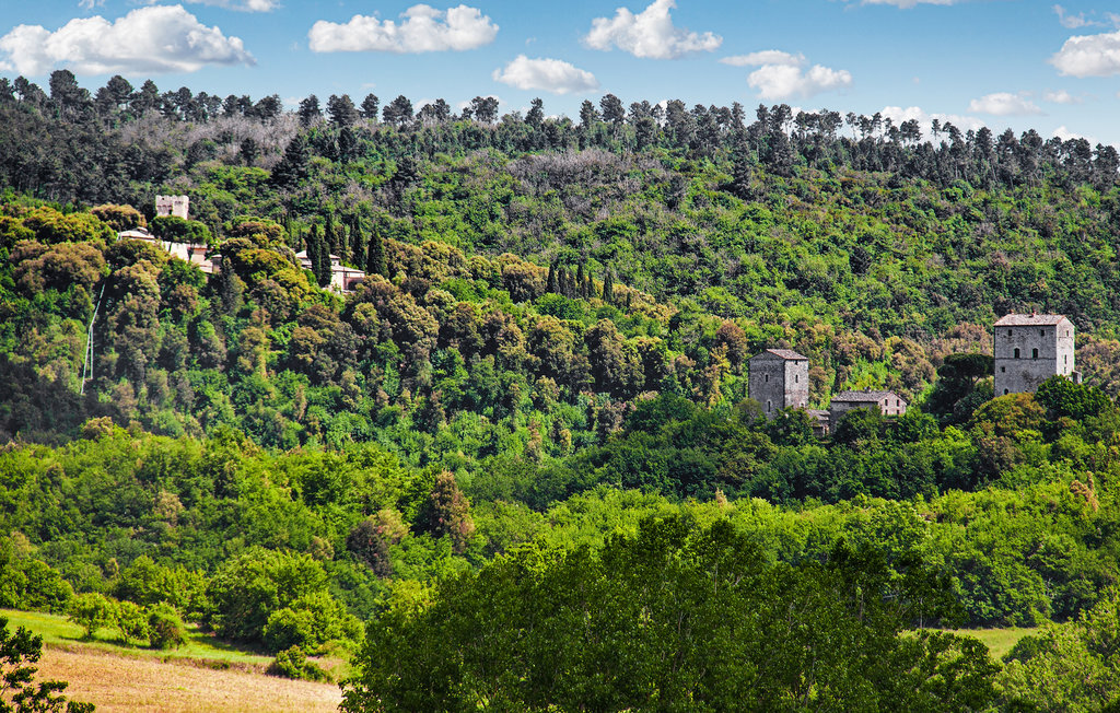 Ferienhaus - Casole d'Elsa , Italien - ITS092 33