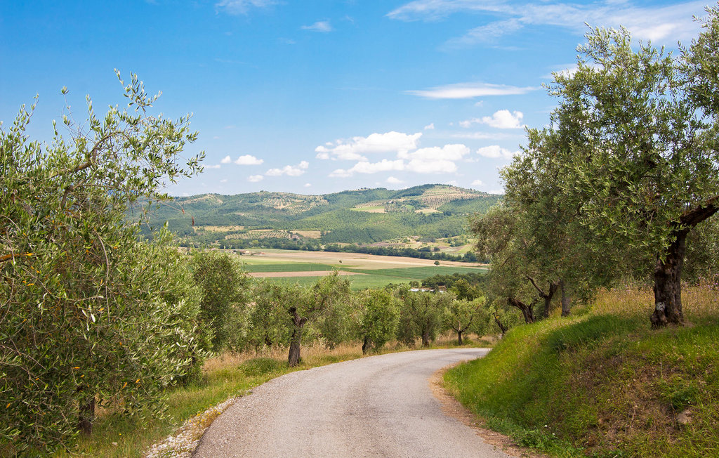 Feriehus - Cetona , Italia - ITS560 38