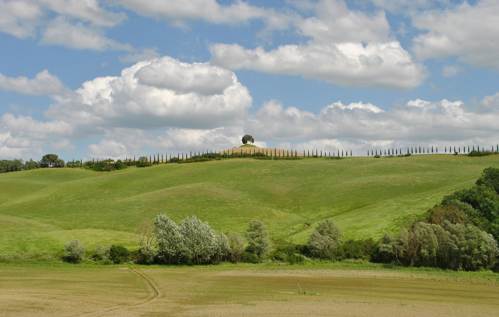 Semesterlägenhet - Siena , Italien - ITS095 30
