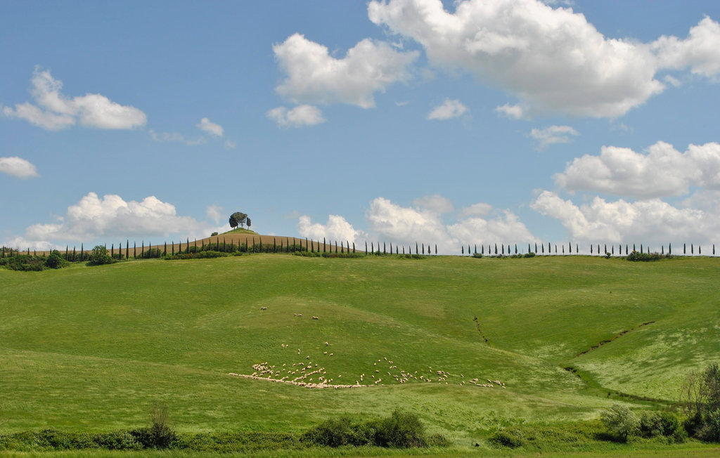 Lejlighed - Sovicille , Italien - ITS043 16