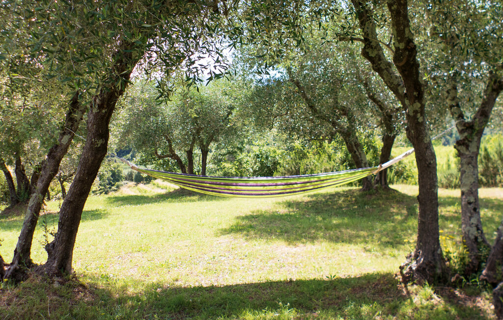 Feriehuse - Siena , Italien - ITS142 7