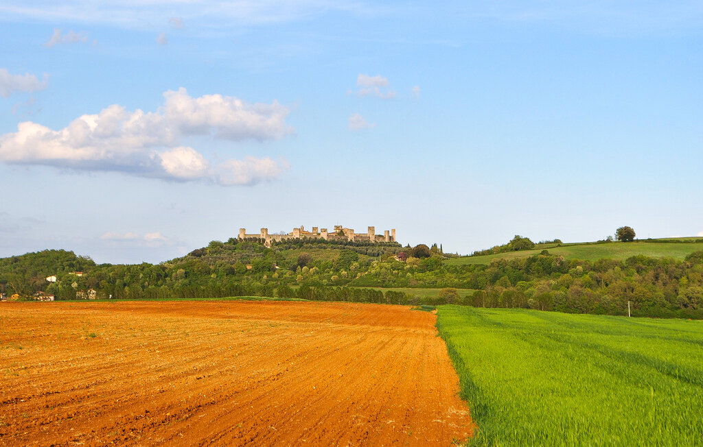 Ferienwohnung - Monteriggioni - Siena , Italien - ITS252 8