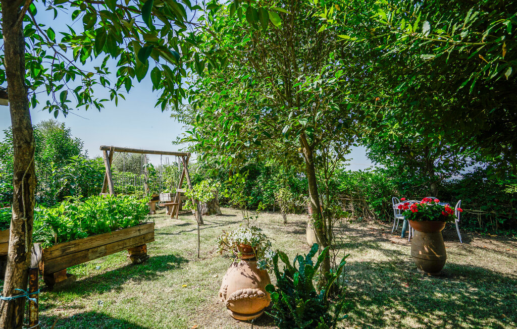 Location de vacances - Trequanda , Italie - ITS196 7