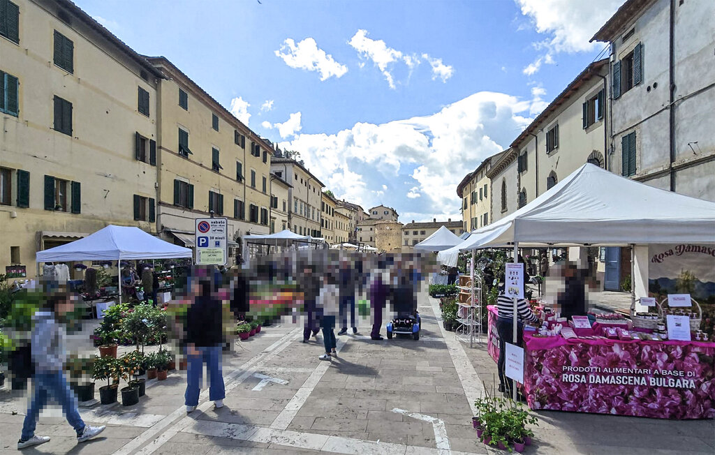 Feriehuse - Cetona , Italien - ITS091 25