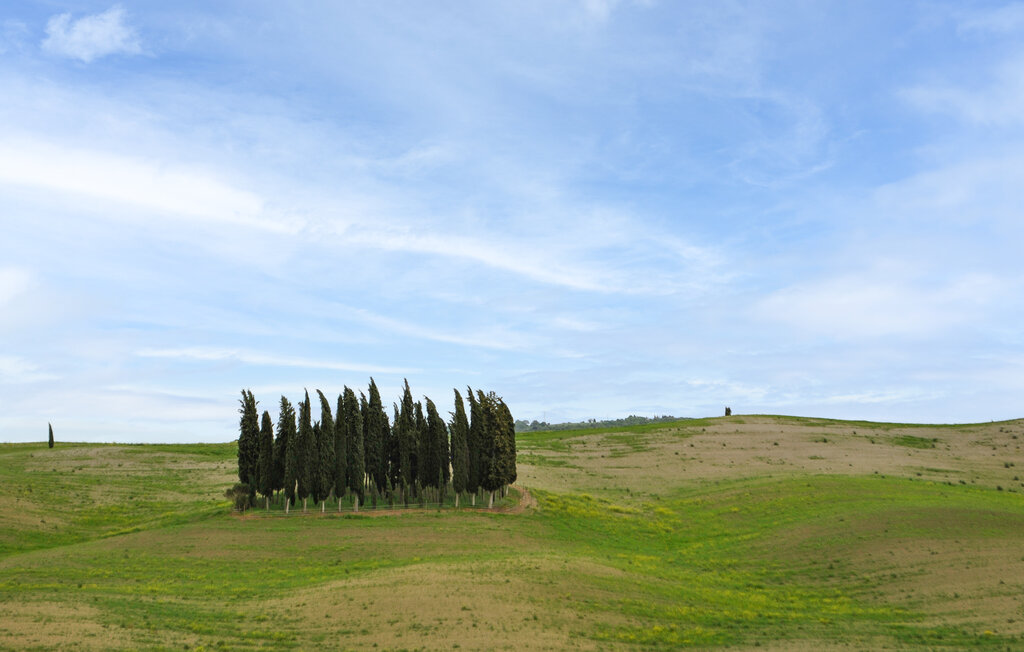 Ferienwohnung - Trequanda , Italien - ITS722 50