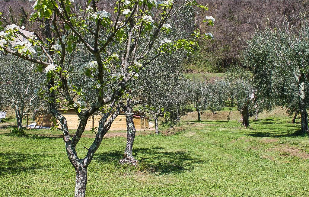 Feriehus - Marliana , Italia - ITT357 11