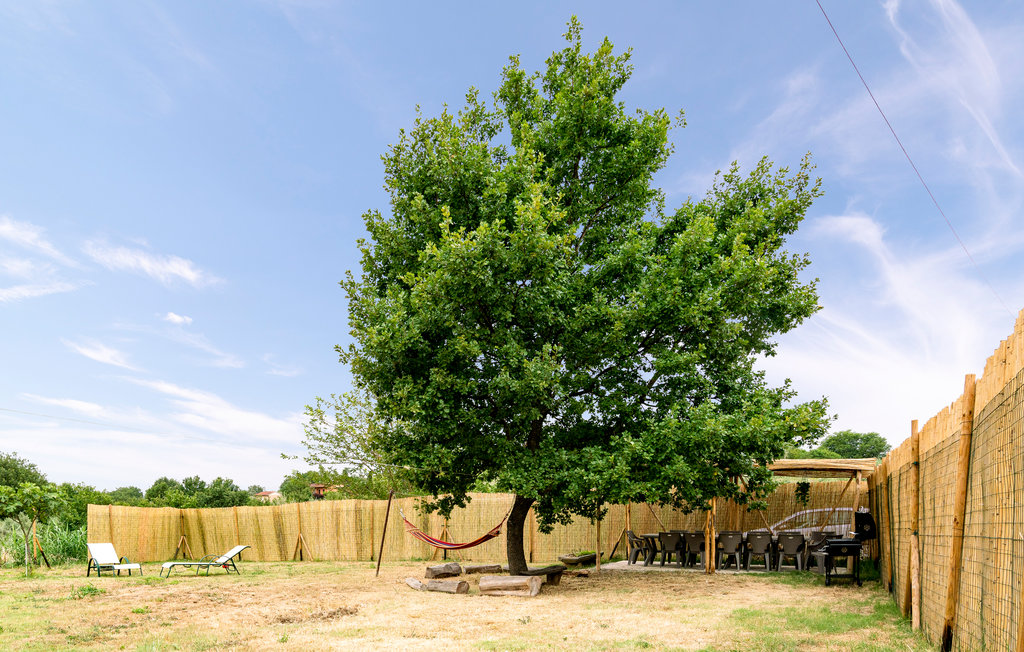 Ferienhaus - Monsummano Terme , Italien - ITT342 8