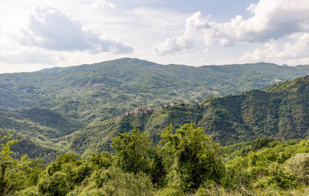 Ferienhaus - Pescia , Italien - ITT293 11