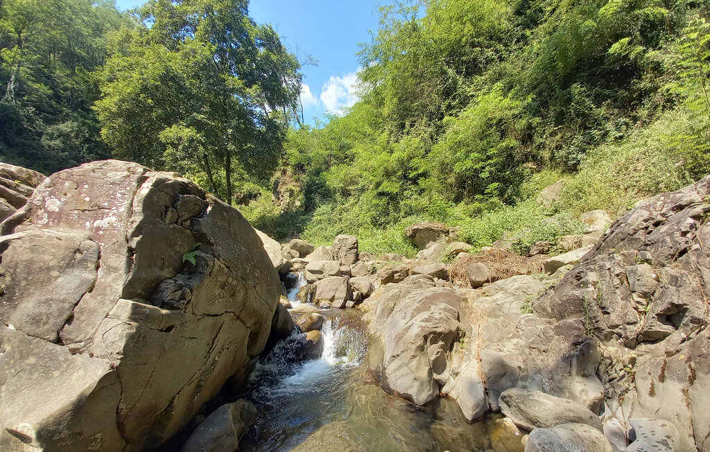 Ferienwohnung - Sorana - Pescia , Italien - ITT204 21