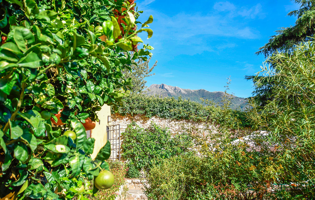 Semesterhus - Camaiore , Italien - ITV081 17