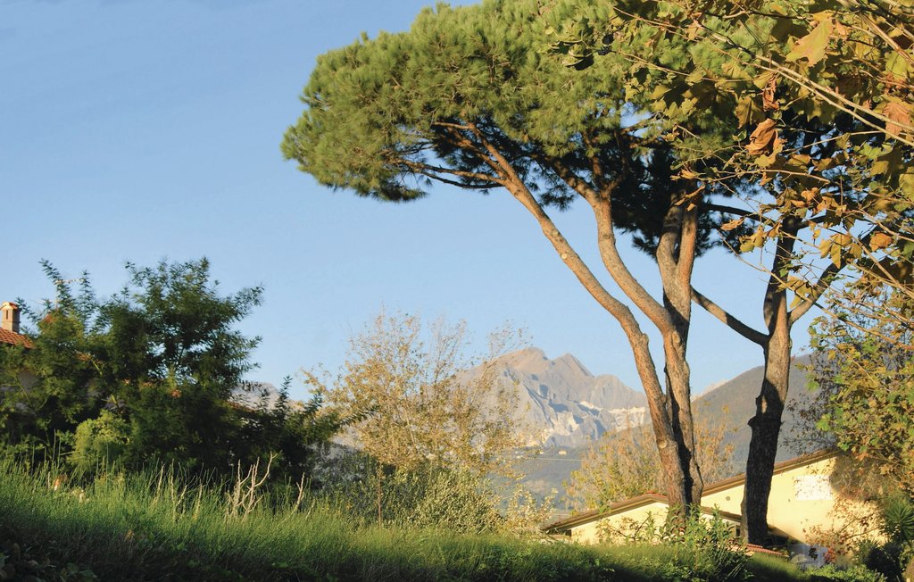 Semesterhus - Marina di Massa , Italien - ITV833 11