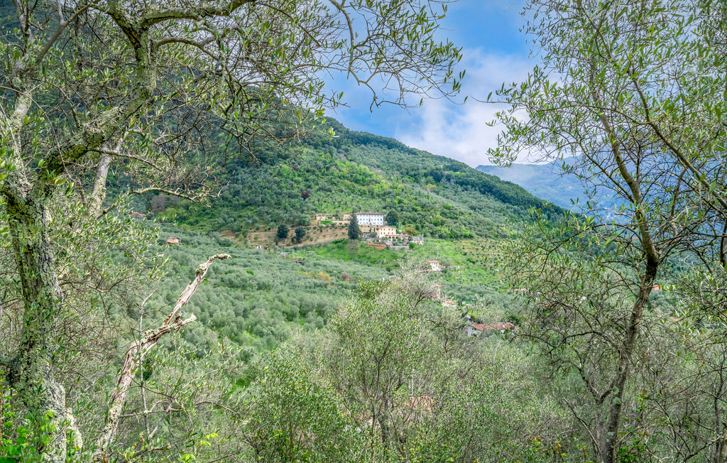 Feriehuse - Camaiore , Italien - ITV805 40