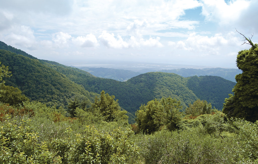 Semesterhus - Metato , Italien - ITV784 21