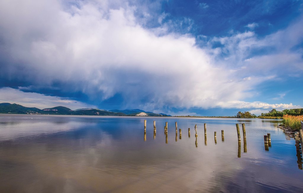 Semesterhus - Viareggio , Italien - ITV883 31