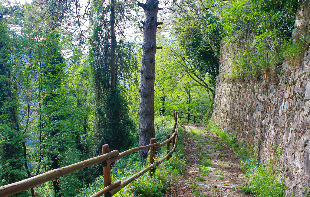 Ferienhaus - Stazzema , Italien - ITV085 8